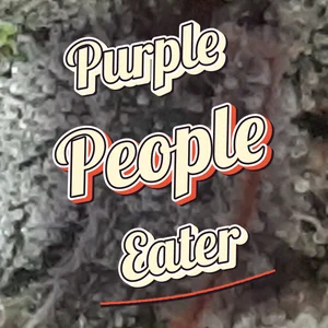 Purple People Eater Cannabis Strain