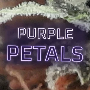 Purple Petals Cannabis Strain