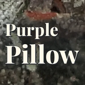 Purple Pillow Cannabis Strain