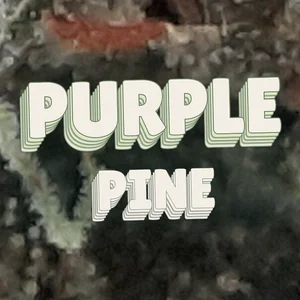 Purple Pine Cannabis Strain
