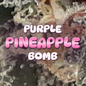 Purple Pineapple Bomb Cannabis Strain