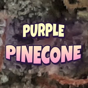 Purple Pinecone Cannabis Strain