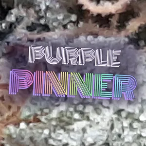 Purple Pinner Cannabis Strain