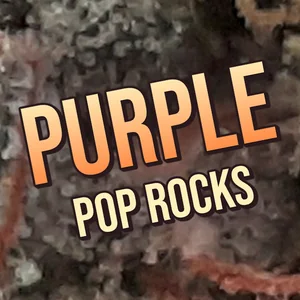 Purple Pop Rocks Cannabis Strain