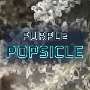 Purple Popsicle Cannabis Strain