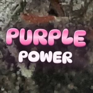 Purple Power Cannabis Strain