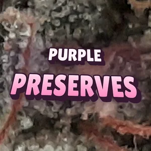 Purple Preserves Cannabis Strain