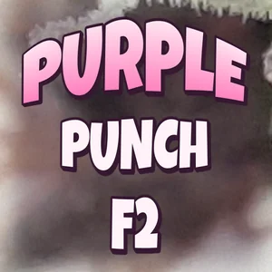 Purple Punch F2 Cannabis Strain