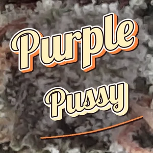 Purple Pussy Cannabis Strain