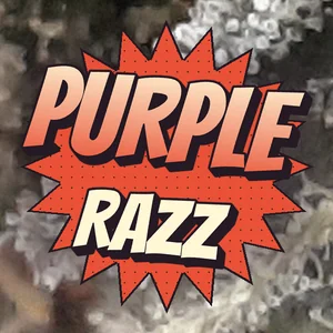 Purple Razz Cannabis Strain
