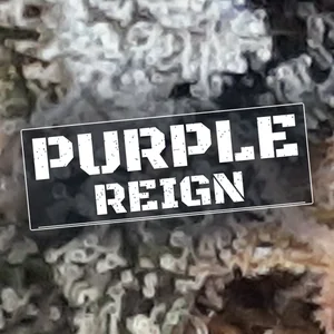 Purple Reign Cannabis Strain