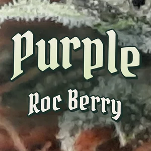 Purple Roc Berry Cannabis Strain