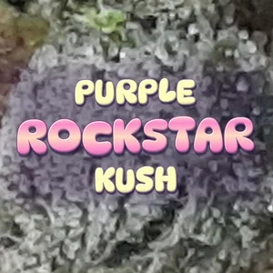 Purple Rockstar Kush Cannabis Strain