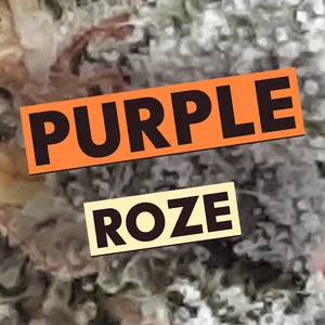 Purple Roze Cannabis Strain