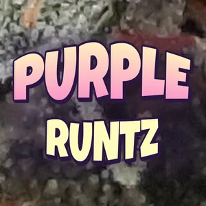 Purple Runtz Cannabis Strain
