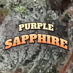 Purple Sapphire Cannabis Strain