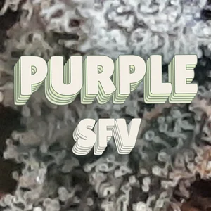 Purple SFV Cannabis Strain