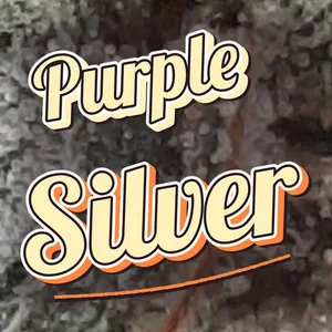 Purple Silver Cannabis Strain