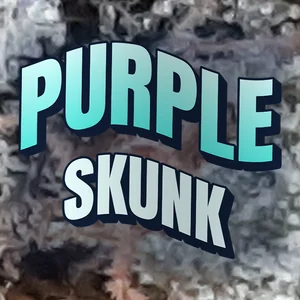 Purple Skunk Cannabis Strain