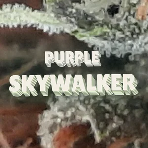 Purple Skywalker Cannabis Strain