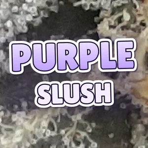 Purple Slush Cannabis Strain