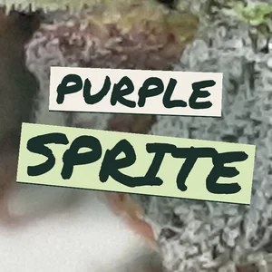 Purple Sprite Cannabis Strain