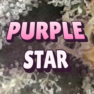 Purple Star Cannabis Strain