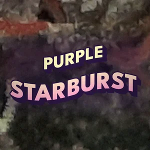 Purple Starburst Cannabis Strain