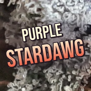 Purple Stardawg Cannabis Strain