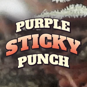 Purple Sticky Punch Cannabis Strain