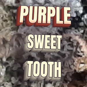 Purple Sweet Tooth Cannabis Strain