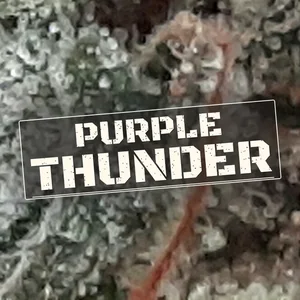 Purple Thunder Cannabis Strain