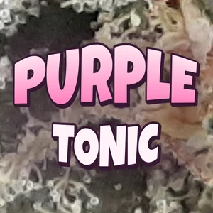 Purple Tonic Cannabis Strain