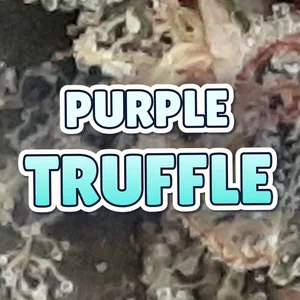 Purple Truffle Cannabis Strain