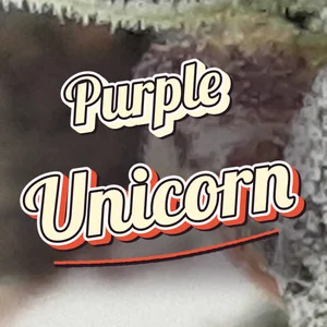 Purple Unicorn Cannabis Strain