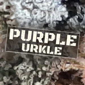 Purple Urkle Cannabis Strain