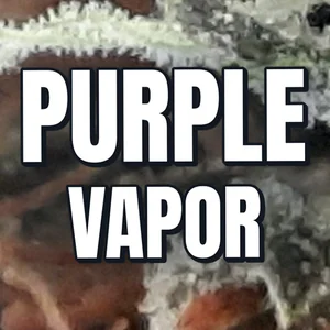 Purple Vapor Cannabis Strain