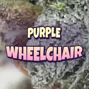 Purple Wheelchair Cannabis Strain