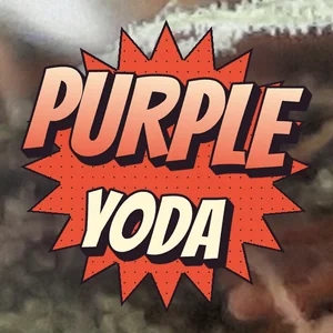 Purple Yoda Cannabis Strain