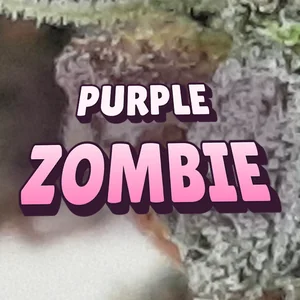 Purple Zombie Cannabis Strain