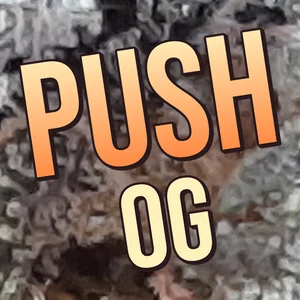 Push OG Cannabis Strain