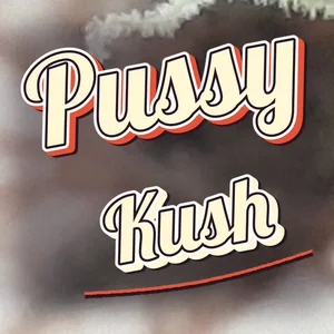 Pussy Kush Cannabis Strain