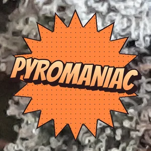 Pyromaniac Cannabis Strain
