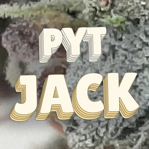 PYT Jack Cannabis Strain