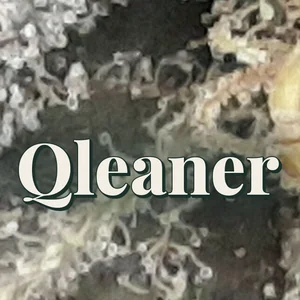 Qleaner Cannabis Strain