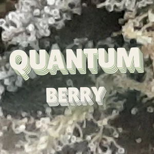 Quantum Berry Cannabis Strain