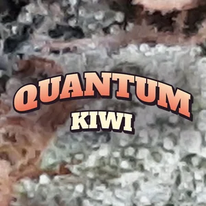 Quantum Kiwi Cannabis Strain
