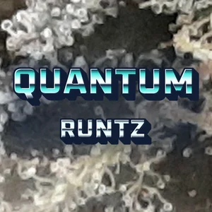 Quantum Runtz Cannabis Strain