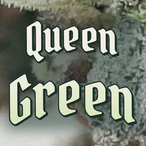 Queen Green Cannabis Strain
