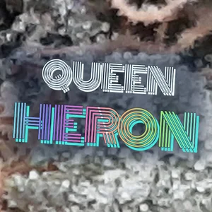 Queen Heron Cannabis Strain